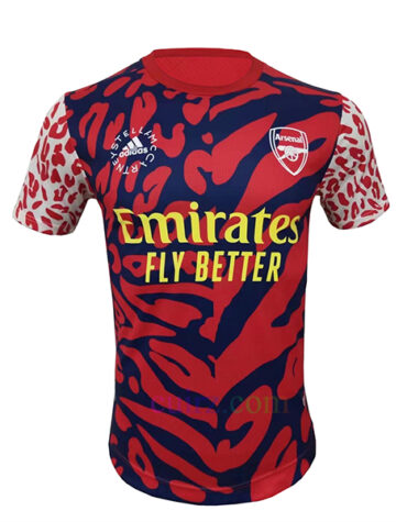 Camiseta Conjunta Arsenal 2022/23 | Cuirz 5