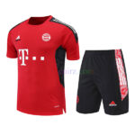 Camiseta de Entrenamiento Bayern München 2022/23 Kit Rojo