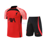 Camiseta de Entrenamiento Liverpool 2022/23 Kit rojo