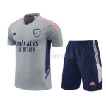 Camiseta de Entrenamiento Arsenal 2022/23 Kit Gris