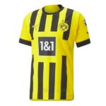 Camiseta Borussia Dortmund 1ª Equipación 2022/23 | Cuirz 2