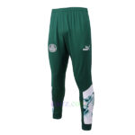 Chandal Palmeiras 2022/23 kit Pantalones