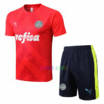 Camiseta de Entrenamiento Palmeiras 2022/23 Kit | Cuirz 3