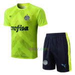 Camiseta de Entrenamiento Palmeiras 2022/23 Kit Verde Brillante