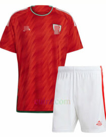 Camiseta Gales 2ª Equipación 2022 Versión Jugador | Cuirz