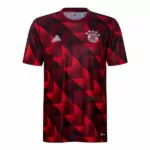 Camiseta Calentamiento Bayern Munich 2022/23