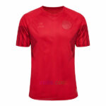 Pre-Order Camiseta Dinamarca 1ª Equipación 2022 Copa Mundial Versión Jugador | Cuirz 2
