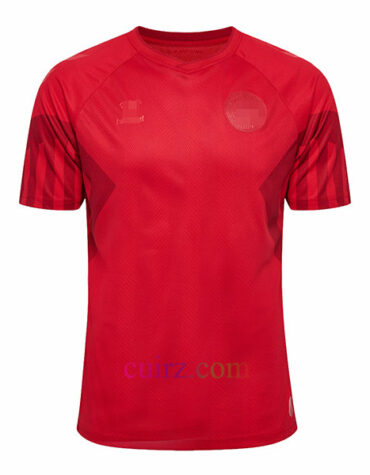 Camiseta Dinamarca 1ª Equipación 2022 Copa Mundial Versión Jugador | Cuirz