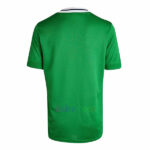 Camiseta de Irlanda del Norte 1ª Equipación 2022 | Cuirz 3