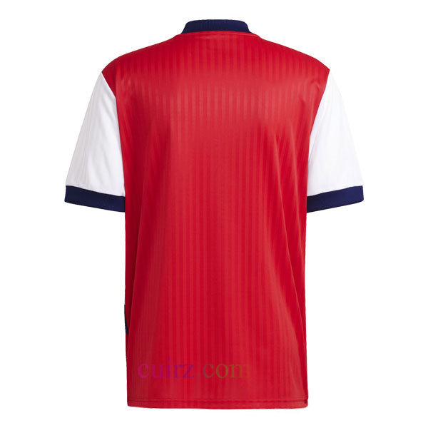 Camiseta ICONS Arsenal 2023 | Cuirz 4