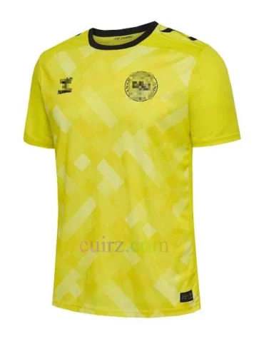Camiseta de Portero Dinamarca 2024 Amarillo